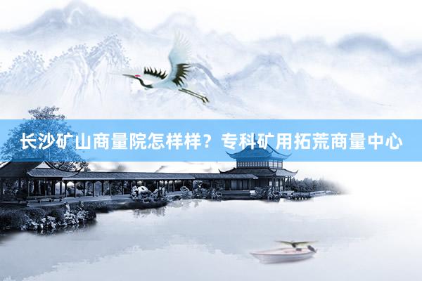 长沙矿山商量院怎样样？专科矿用拓荒商量中心