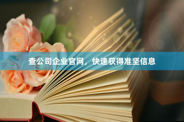 查公司企业官网，快速获得准坚信息