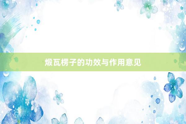 煅瓦楞子的功效与作用意见
