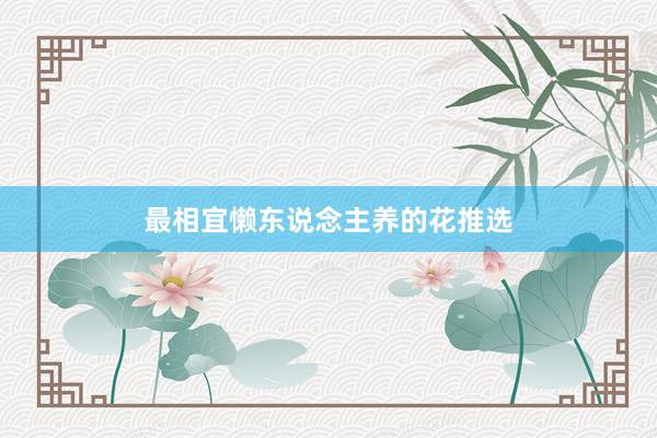 最相宜懒东说念主养的花推选